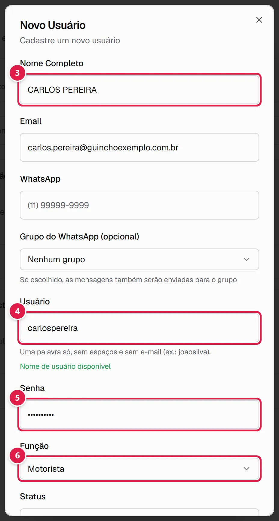 Janela Novo Usuário